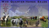 WYO Quarter Horse Sales, home of Pro Rodeo Hall of Fame Bill Smith - Thermopolis Wyoming